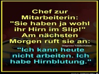 Hirn im Slip