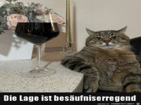 Es ist bes�ufniserregend