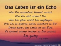 Das Leben ist ein Echo