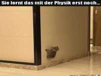 Katze �bt