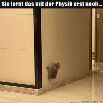 Katze-&uuml;bt.jpg von Heather