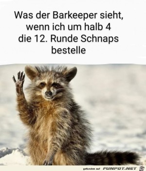 Schon-etwas-intus.jpg auf www.funpot.net