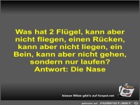Was hat 2 Fl�gel, kann aber nicht fliegen, einen R�cken,...