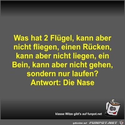 Was-hat-2-Fl&uuml;gel,-kann-aber-nicht-fliegen,-einen-R&uuml;cken,....jpg von Fossy