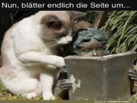 Bl�tter endlich um