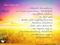 Du mu�t stets an die M�glickeiten glauben