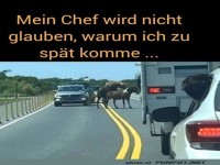 da h�tte ich auch ein Bild gemacht