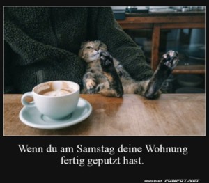 fun-Bild: Anstrengender Samstag