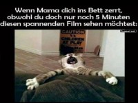Katzenmeme: Schlafentzug durch Mama