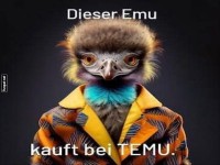 Modebewusster Emu shoppt stilvoll