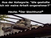 Der Wachhund macht es sich gemtlich