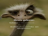 Neues Vokabular f�r den Alltag!