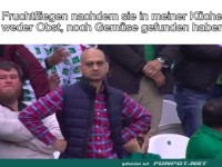 Fruchtfliegen: Aufgeben ist keine Option!