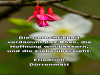 weiter