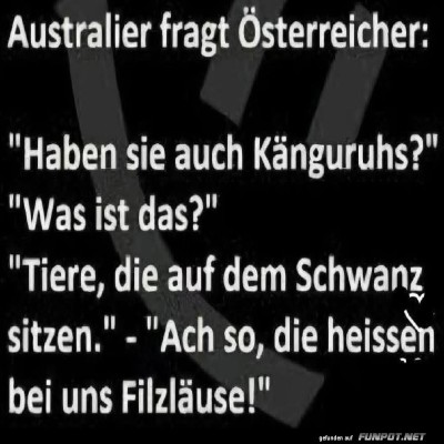 Missverst&auml;ndnis-unter-Tieren.jpg von Zauberfee