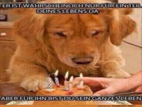 Ein Hund fürs Leben