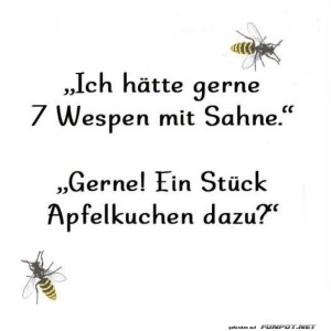 Wespen-Men�-�-la-Carte.jpg von Sahneschnitte