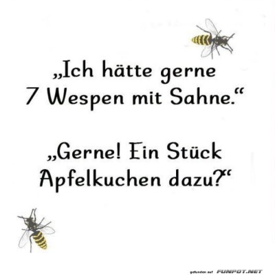 Wespen-Menü-à-la-Carte.jpg von Sahneschnitte