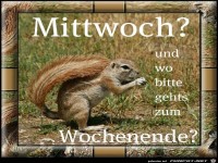 Mittwoch