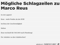 BVB
