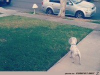 Welche �hnlichkeit