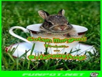 Sch�nen Ostersonntag