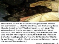 Der Hund im Arbeitsamt