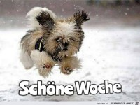 Schne Woche