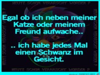 Wenn Frauen morgens aufwachen