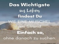 das wichtigste