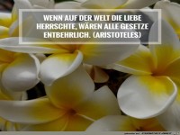 wenn auf der Welt die Liebe herrschte