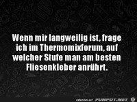 Einfach mal blöd nachfragen