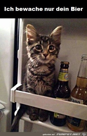 Ich-bewache-dein-Bier.jpg auf www.funpot.net