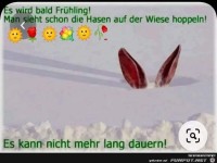 Es wird bald Fr�hling