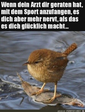 Sport-nervt.jpg auf www.funpot.net