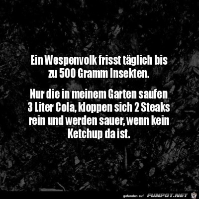 Das-Wespenvolk.jpg von Lasse