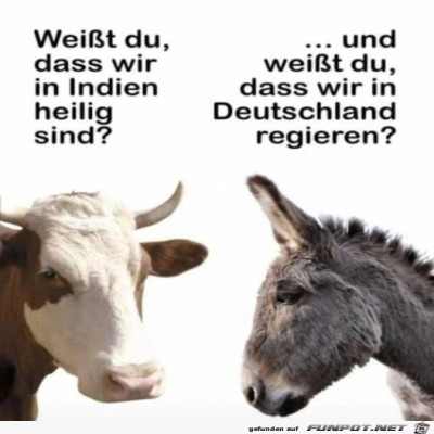 Gespräch-unter-Tieren.jpg von Ida