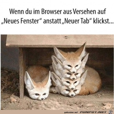 Neues-Fenster.jpg von Rebecca