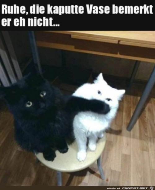 Sei-still.jpg auf www.funpot.net