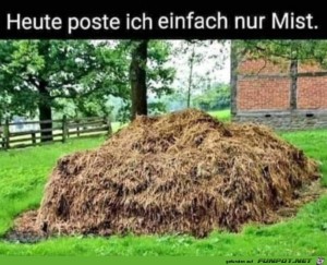 Mist-posten.jpg auf www.funpot.net