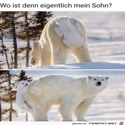 Wo-ist-denn-mein-Sohn?.jpg von Lawrence