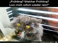 Von wegen Fr�hling