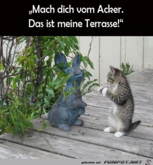 Hau-ab.jpg auf www.funpot.net