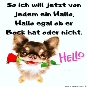 Begrüßungsbild