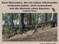 Wie Wurzeln eines Baumes