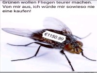 Fliegen teurer machen