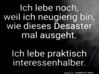 Neugierig auf das Desaster des Lebens