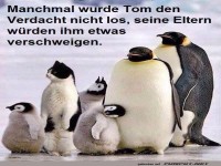 Pinguin-Familie mit einem humorvollen Text