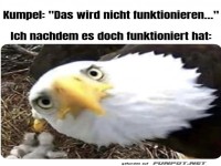 Ueberraschungserfolg mit Adler