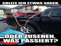 ATV Abenteuer oder Chaos?